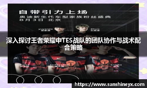 深入探讨王者荣耀中TES战队的团队协作与战术配合策略
