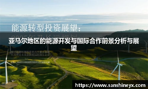 亚马尔地区的能源开发与国际合作前景分析与展望