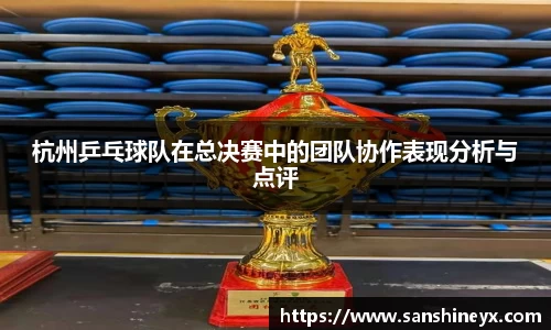 杭州乒乓球队在总决赛中的团队协作表现分析与点评